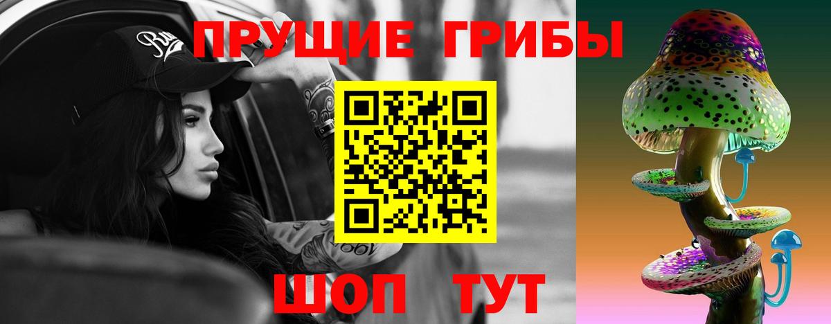 как найти закладки  Псилоцибиновые грибы ЛСД  Вход с VPN  Долгопрудный 